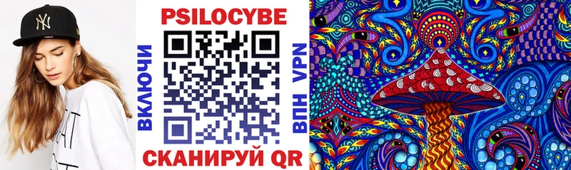 Псилоцибиновые грибы Psilocybe  Печоры 